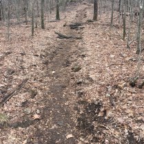 Steep Trail